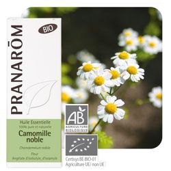 camomille-noble-huile-essentielle-rhume